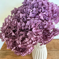 Preserved Hydrangea Stem