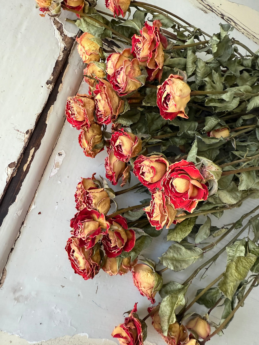 Naturally Dried Rose