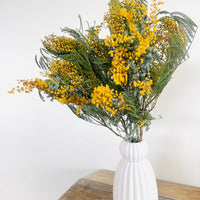 Naturally Dried Wattle / Mimosa / Acacia Flowers - Australian Native - natural yellow