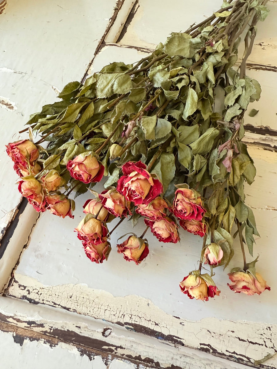 自然干燥玫瑰