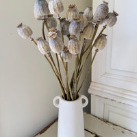Dried Poppy Pods / Papaver - natural brown