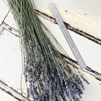 Naturally Dried Lavender bunch - blue purple