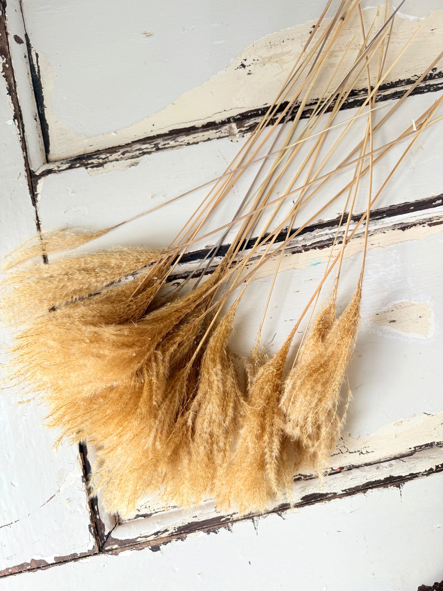 Naturally Dried Reed Canary Grass / Mischanthus Grass / Mini Pampas Grass