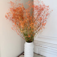 Preserved Delicate Baby's Breath - Gypsophila
