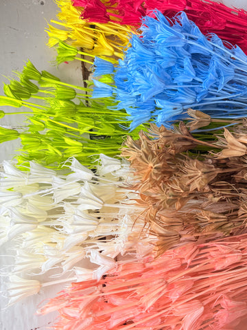 Naturally Dried / Coloured Nigella Flower