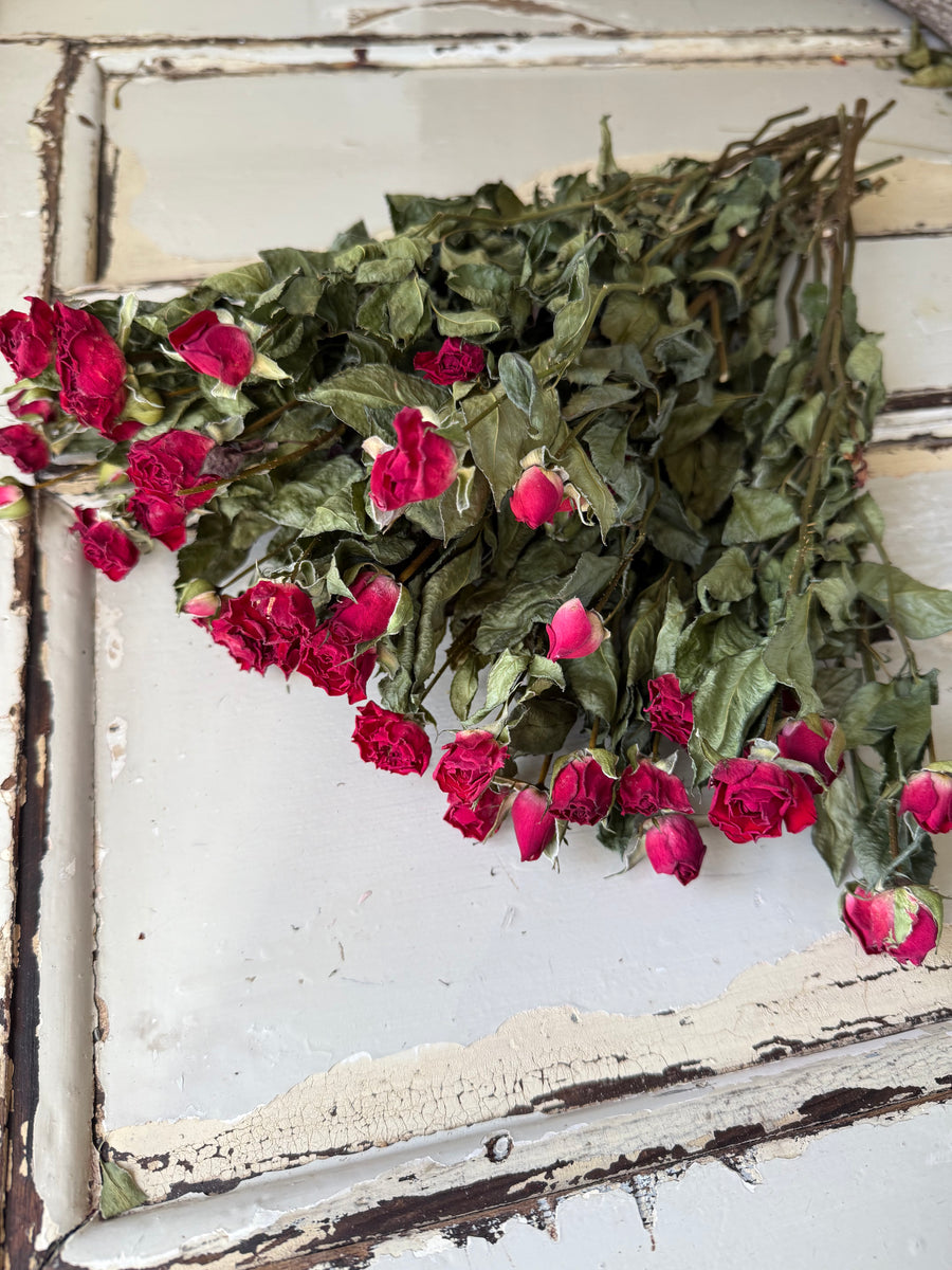 Naturally Dried Rose