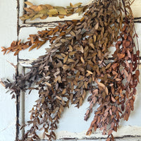 直销店 &amp; 样品 [花茎 / 绿叶]