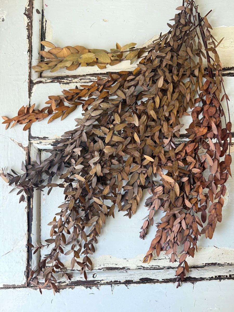 直销店 & 样品 [花茎 / 绿叶]