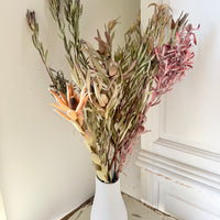 [Deep & Natural Colours] Outlet & Samples