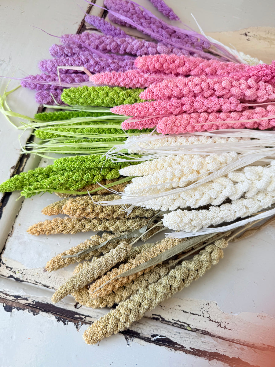 Dried Setaria / Foxtail Millet