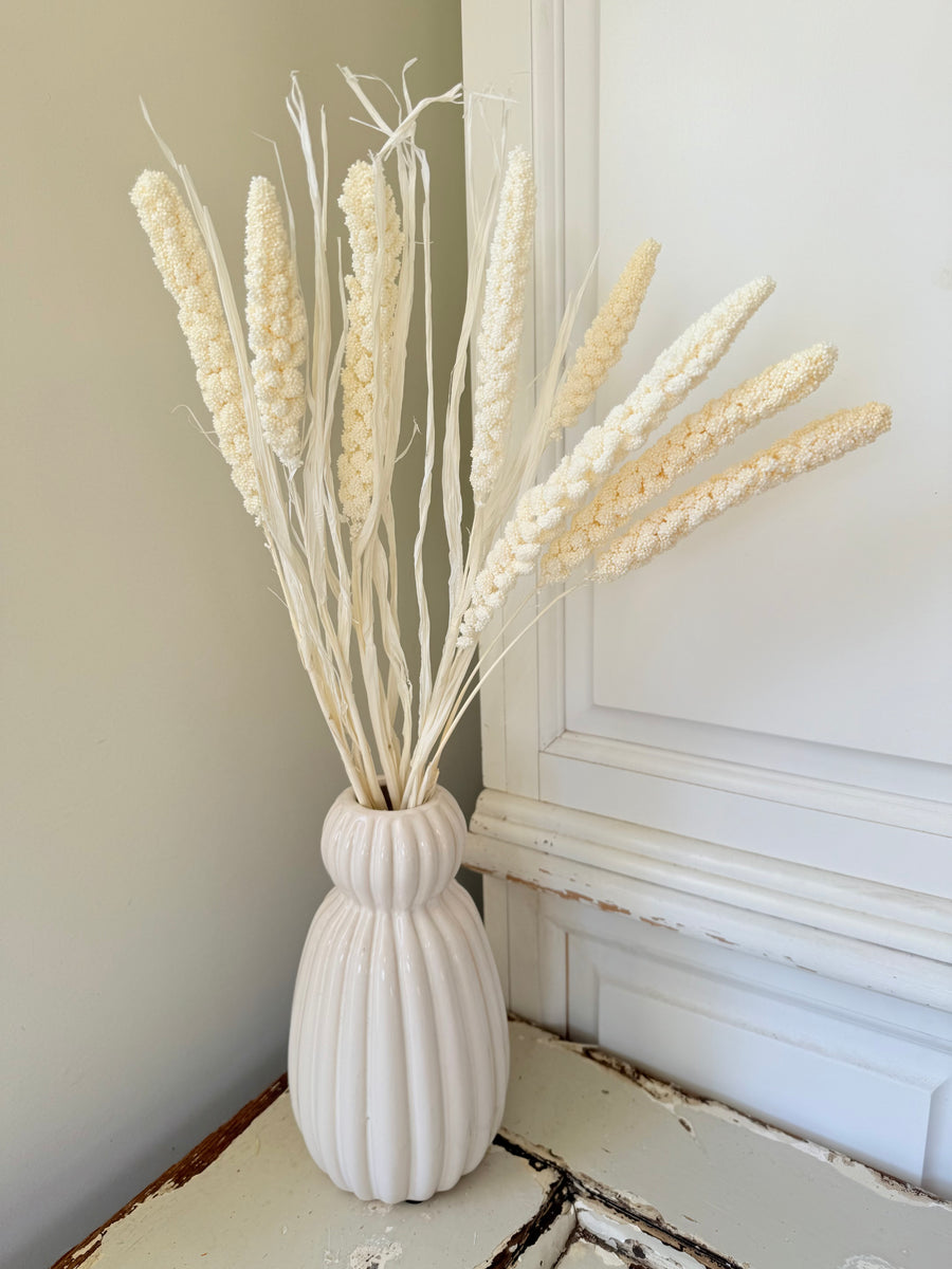 Dried Setaria / Foxtail Millet