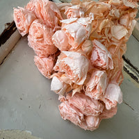 　[Colourful] Outlet & Samples