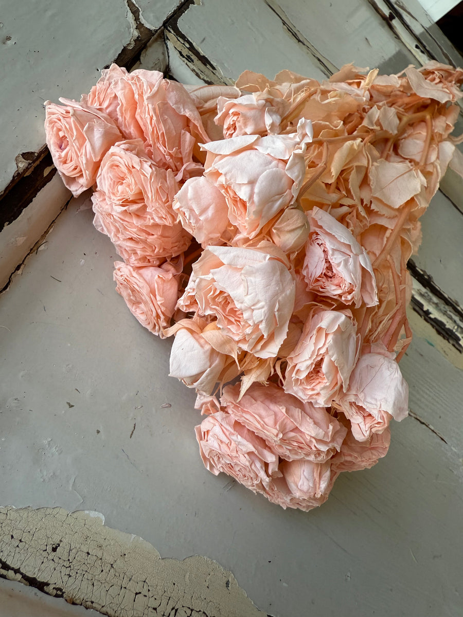 　[Colourful] Outlet & Samples