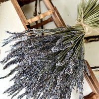 Dried Lavender Bouquet [M] Self-Standing | All-Around