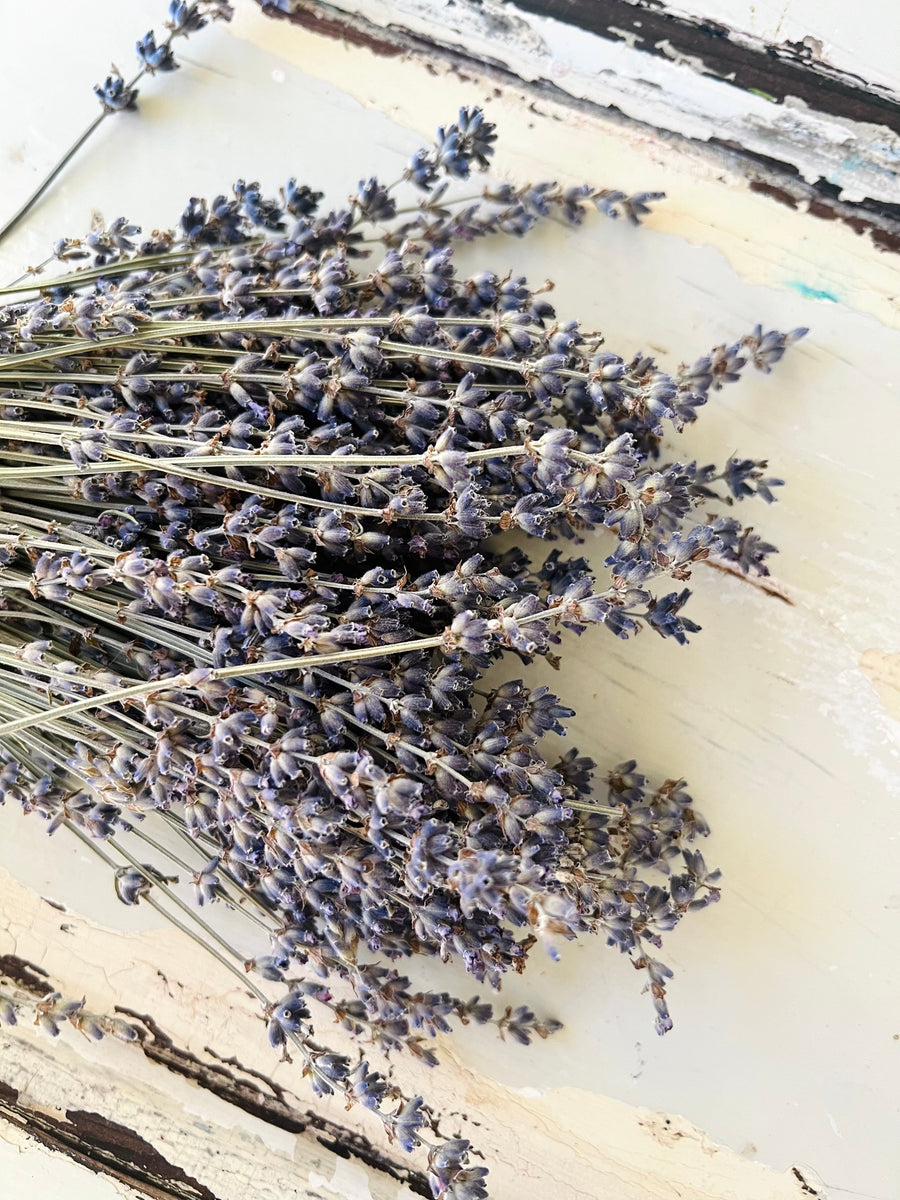 Naturally Dried Lavender bunch - blue purple