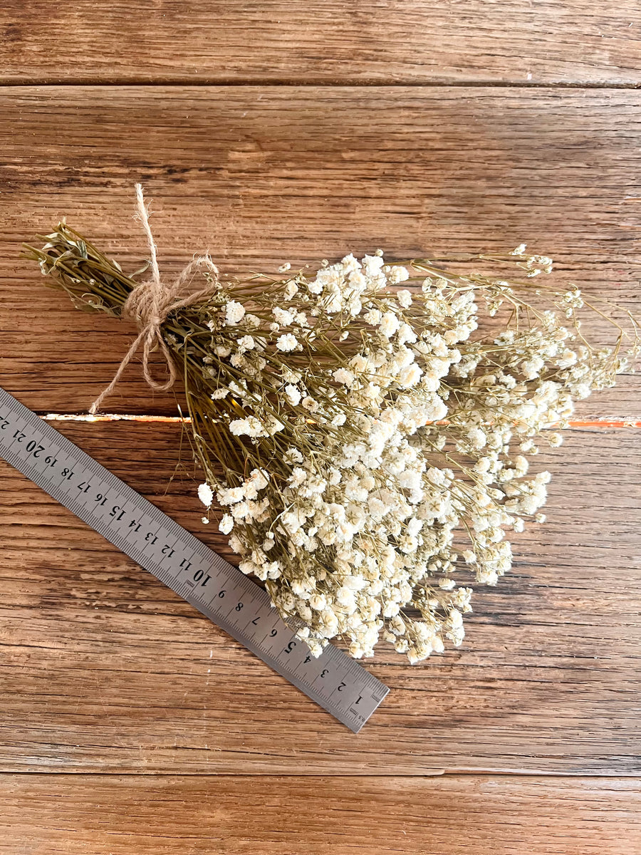 Everlasting Preserved Baby's Breath Bouquet [Mini/SM/ML]