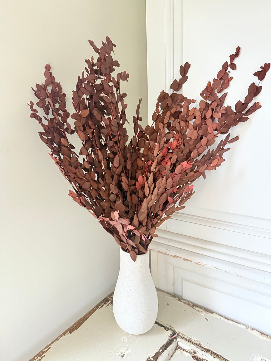 Preserved Eucalyptus / Gum