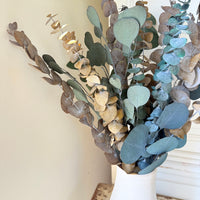 Olive Grove Preserved Eucalyptus Bouquet [M] with / without leucadendron