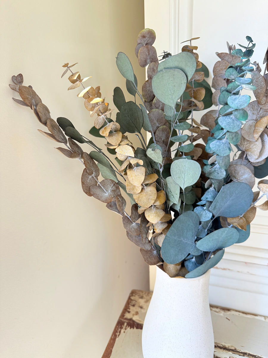 Olive Grove Preserved Eucalyptus Bouquet [M] with / without leucadendron