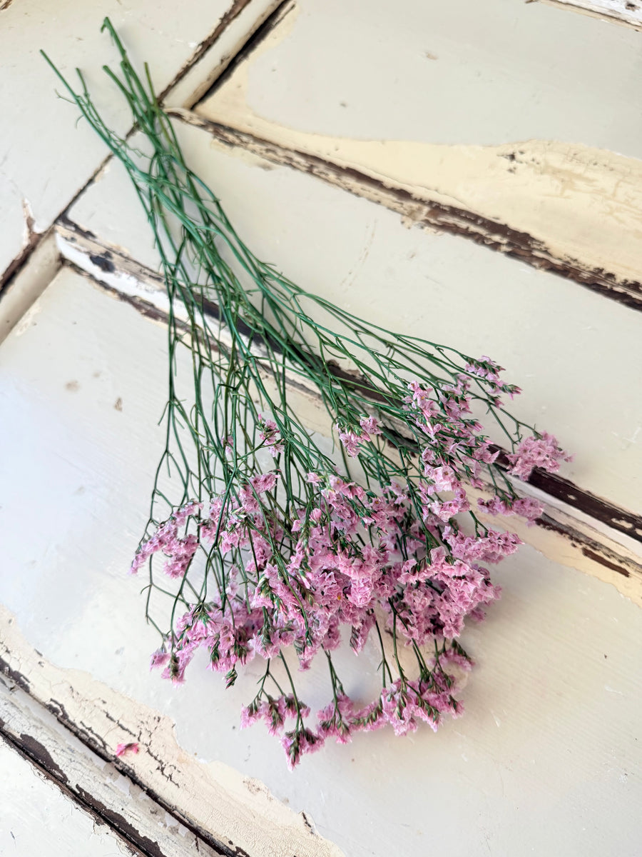 Preserved Crystal Grass / Caspea