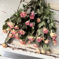 Dried Spray Mini Rose