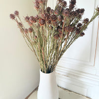 Outlet & Sample [flower stems / greenery]