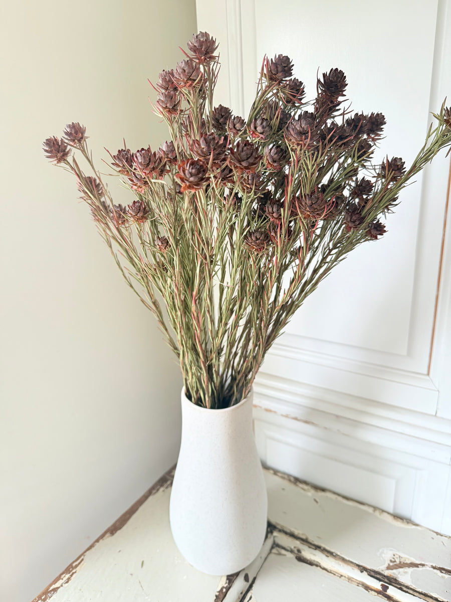 Outlet & Sample [flower stems / greenery]