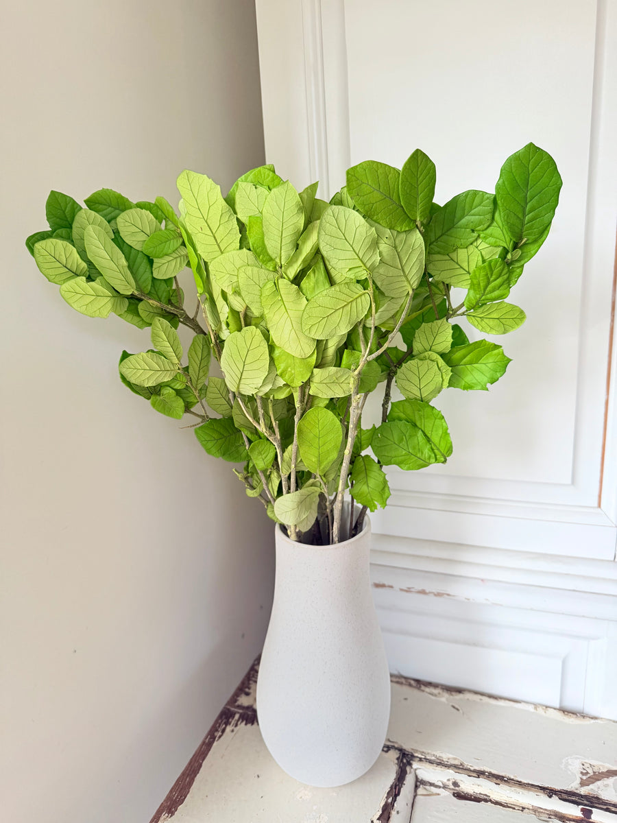 Outlet & Sample [flower stems / greenery]