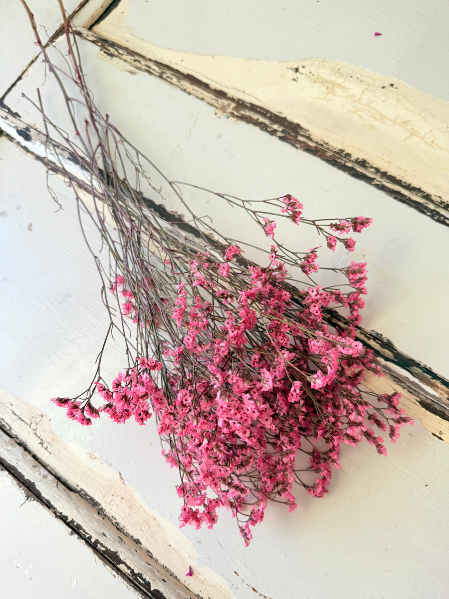 Preserved Crystal Grass / Caspea