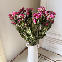 Dried Spray Mini Rose