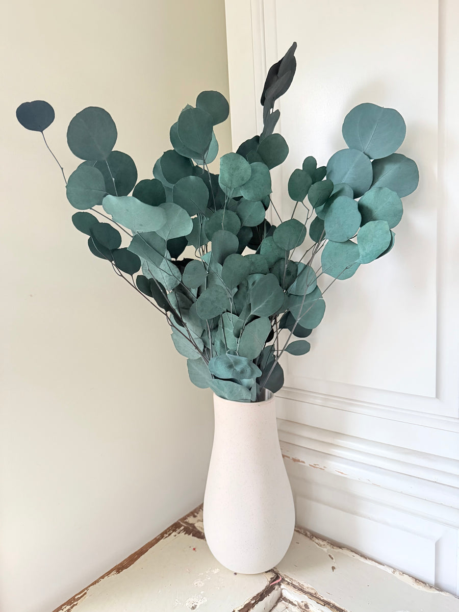 Preserved Eucalyptus / Gum