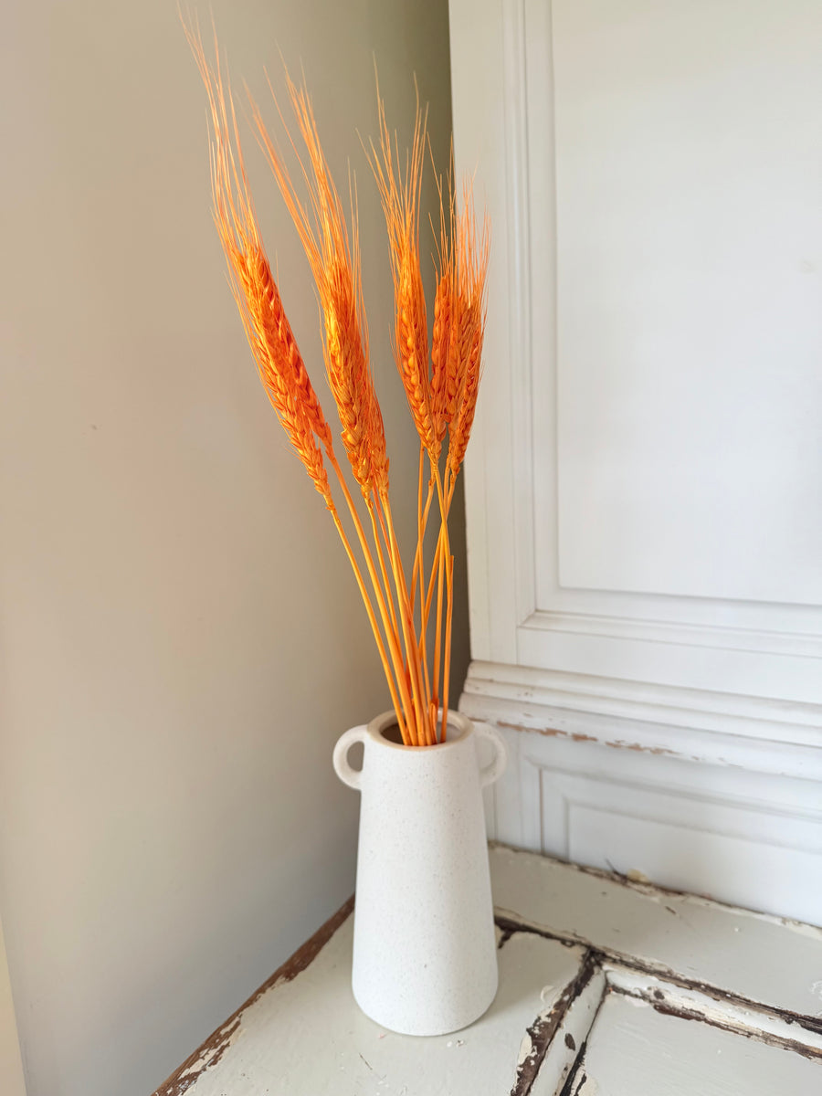 Dried Wheat