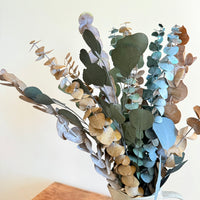 Olive Grove Preserved Eucalyptus Bouquet [M] with / without leucadendron