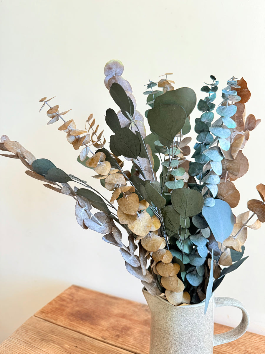 Olive Grove Preserved Eucalyptus Bouquet [M] with / without leucadendron