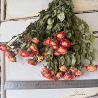 Naturally Dried Spray Rose