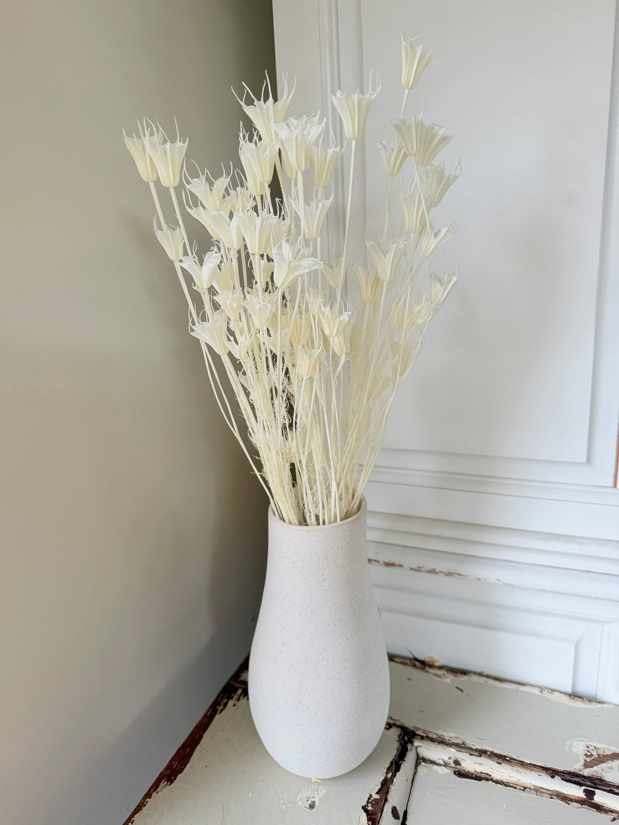 Naturally Dried / Coloured Nigella Flower