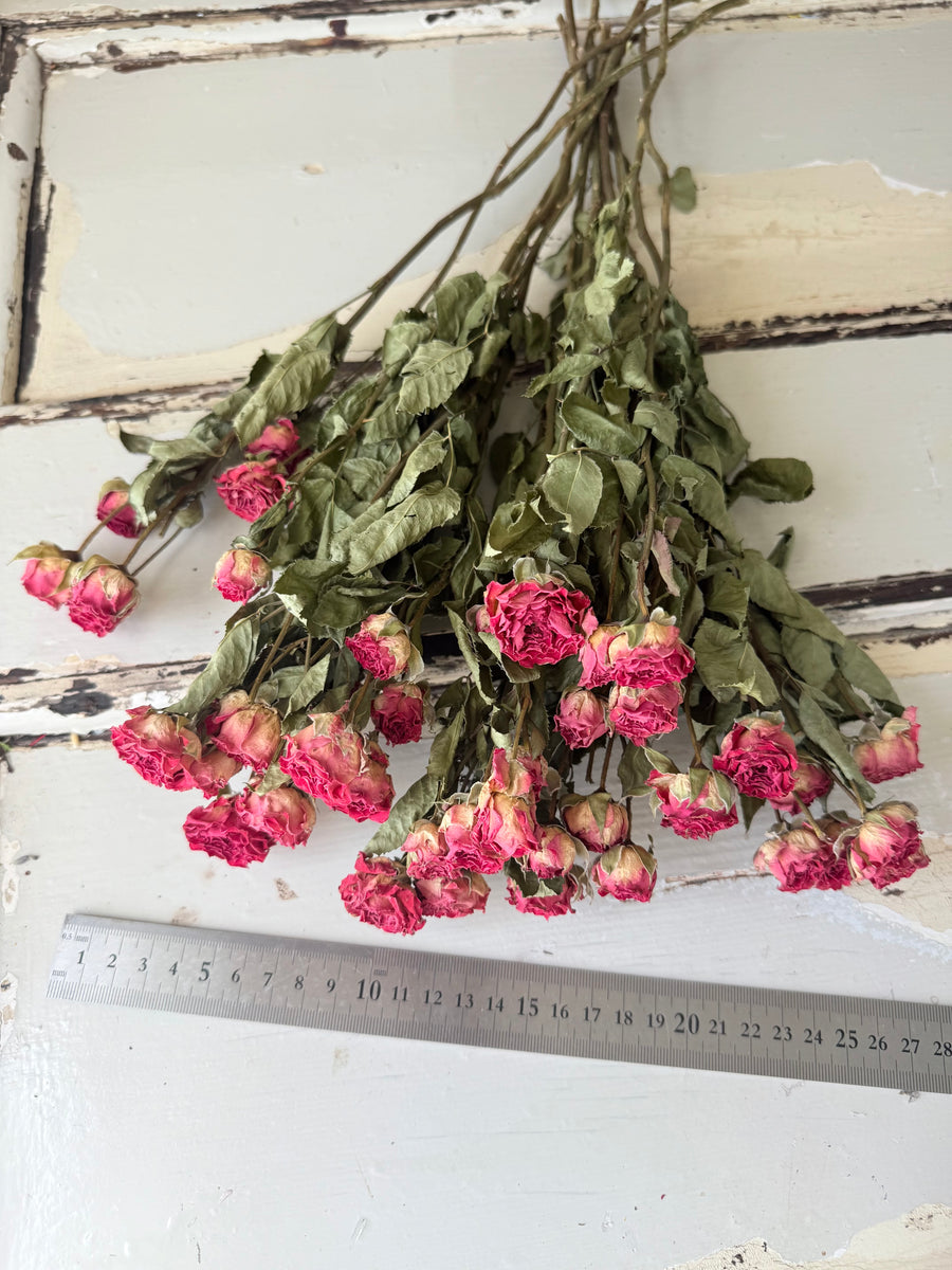Naturally Dried Spray Rose