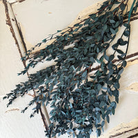 直销店 &amp; 样品 [花茎 / 绿叶]