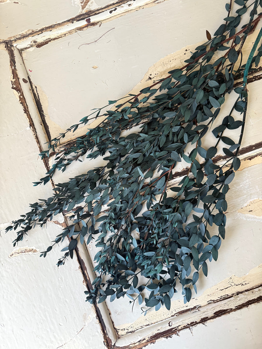 直销店 & 样品 [花茎 / 绿叶]