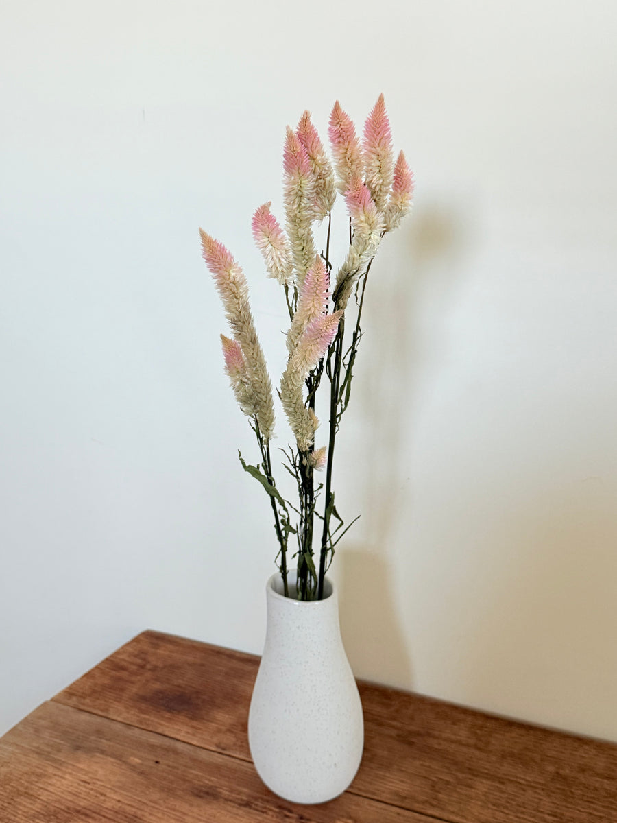 Tree Phoenix Tail Roses Dried Phoenix Tail – FLEURI flowers