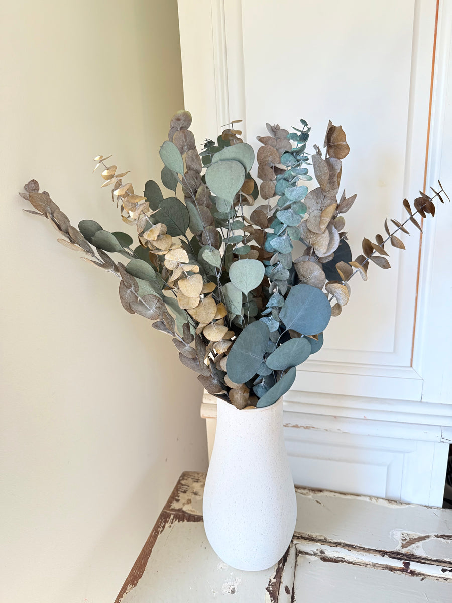 Olive Grove Preserved Eucalyptus Bouquet [M] with / without leucadendron