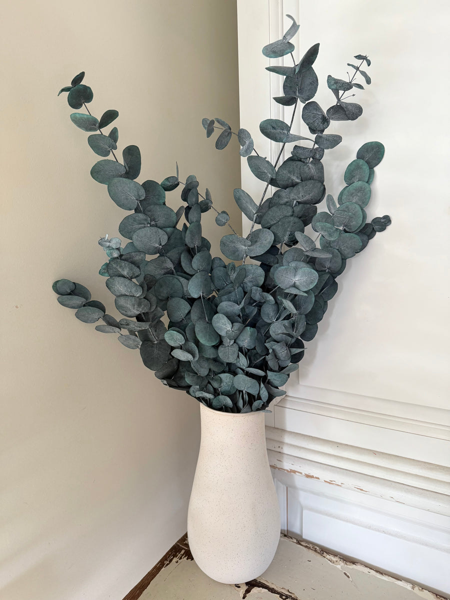 Preserved Eucalyptus / Gum