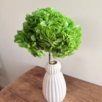 Preserved Hydrangea Stem