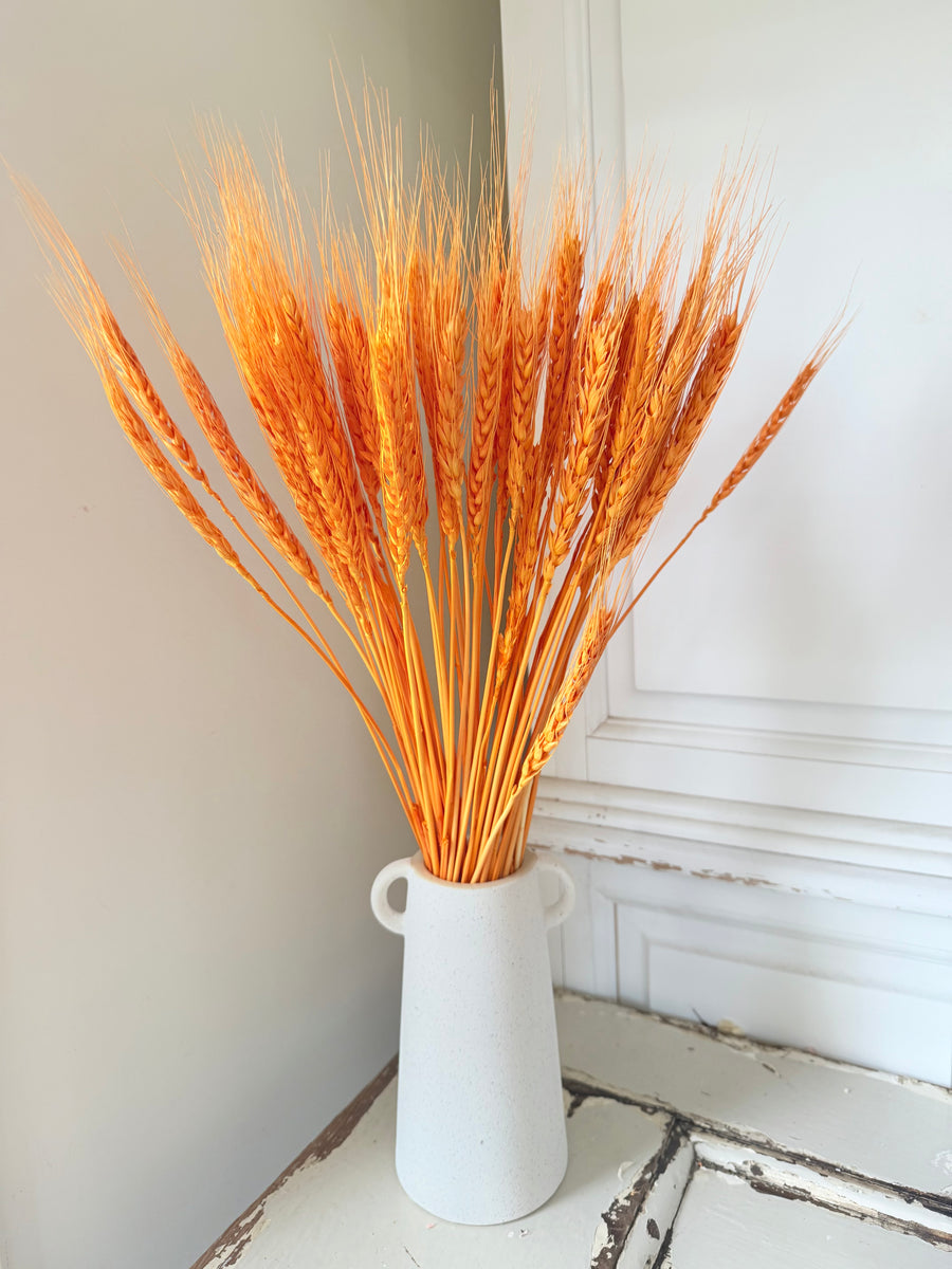 Dried Wheat