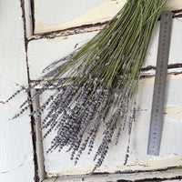 Naturally Dried Lavender bunch - blue purple