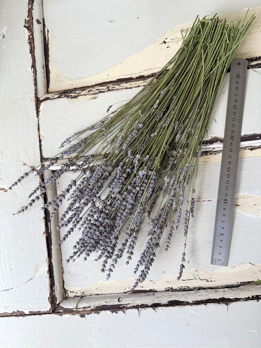 Naturally Dried Lavender bunch - blue purple