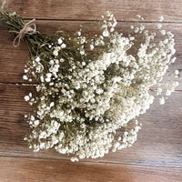 Everlasting Preserved Baby's Breath Bouquet [Mini/SM/ML]