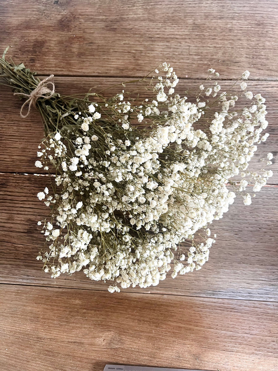 Everlasting Preserved Baby's Breath Bouquet [Mini/SM/ML]