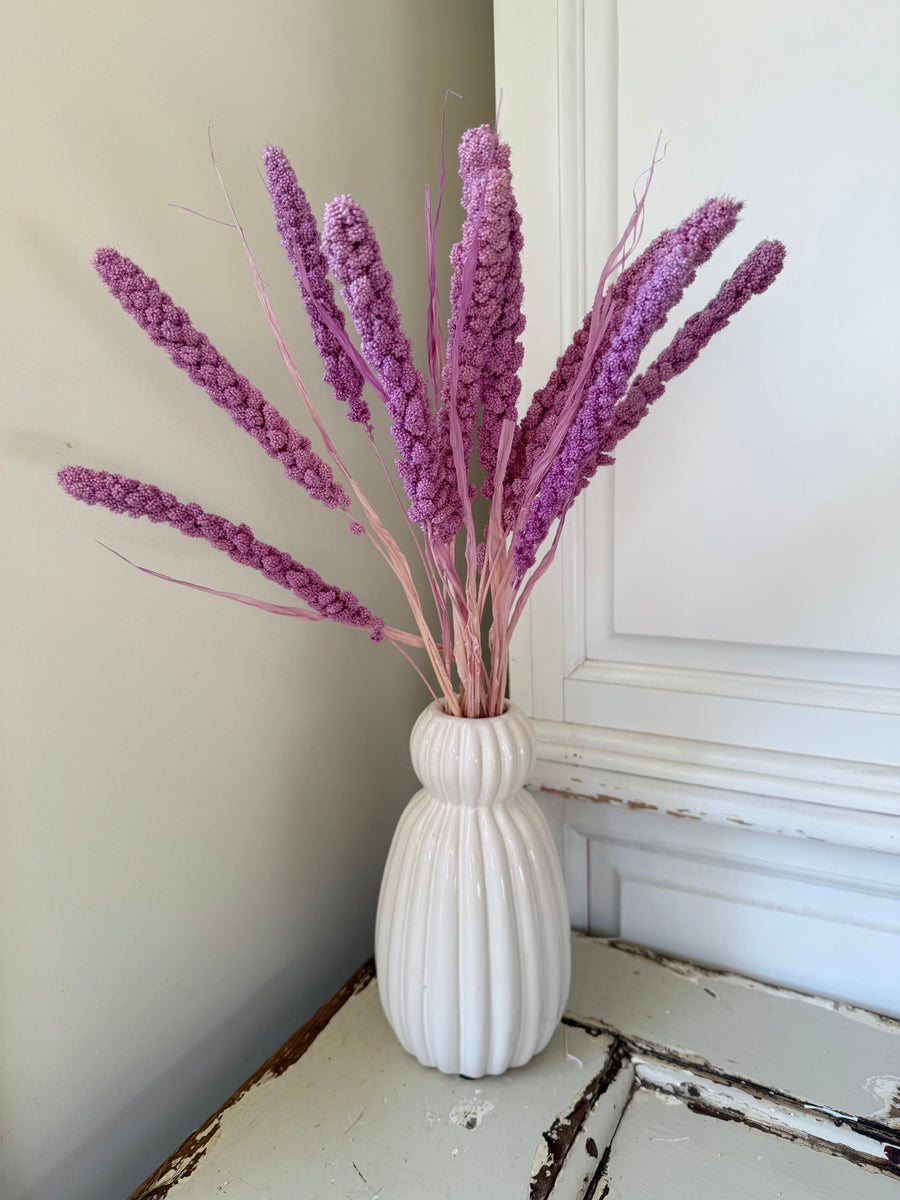 Dried Setaria / Foxtail Millet