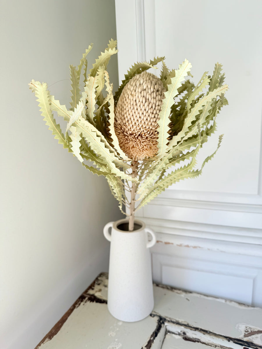 Naturally Dried Banksia & King Protea & Protea - Australian Native